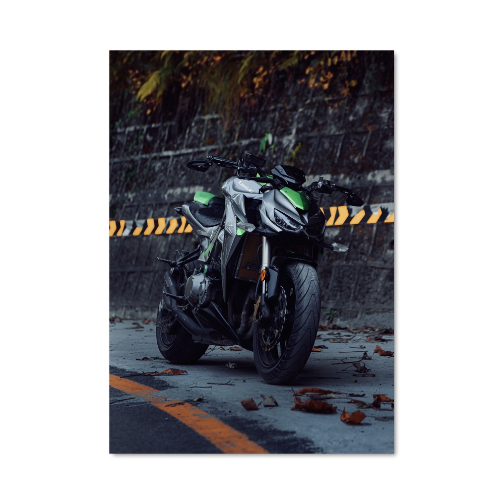 Poster Z1000 Éblouissant