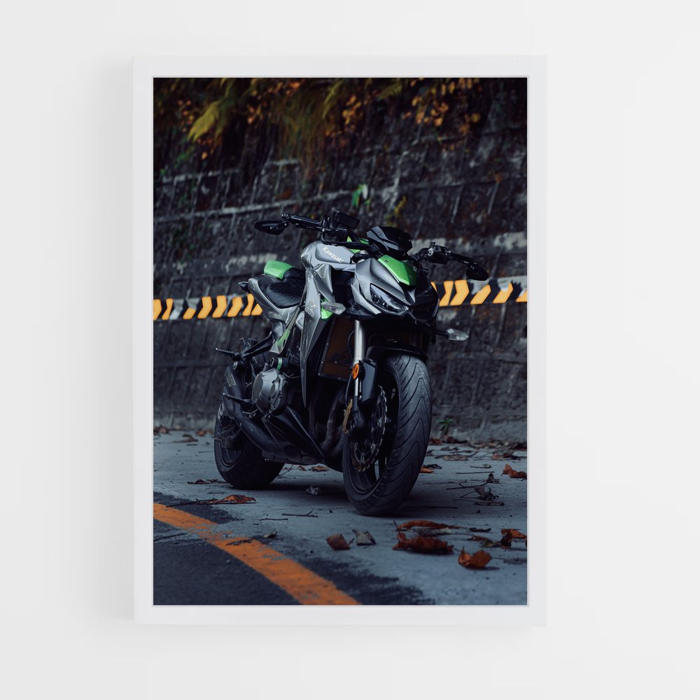 Poster Z1000 Éblouissant (vue 3)
