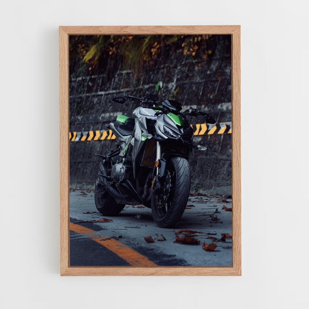 Poster Z1000 Éblouissant (vue 4)