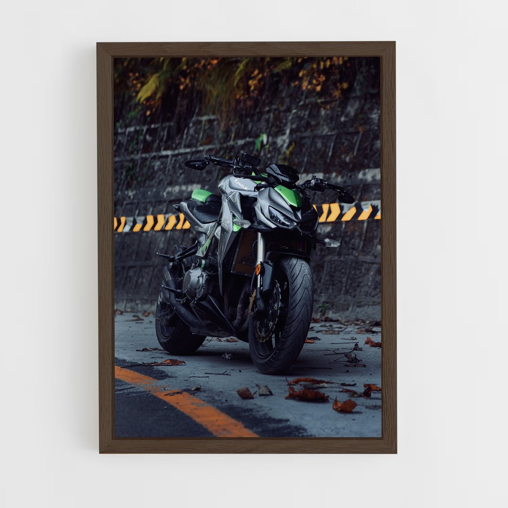 Poster Z1000 Éblouissant (vue 5)