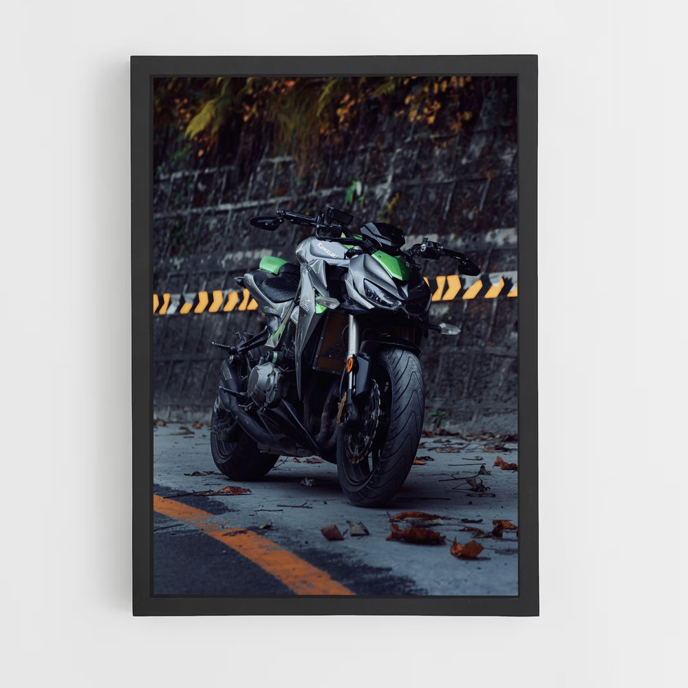 Poster Z1000 Éblouissant (vue 2)