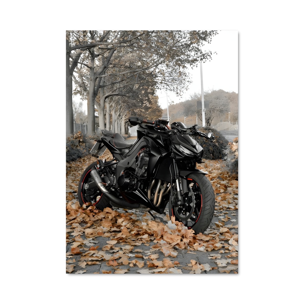 Poster Z1000 Éclatant