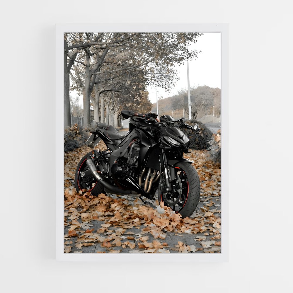 Poster Z1000 Éclatant (vue 3)