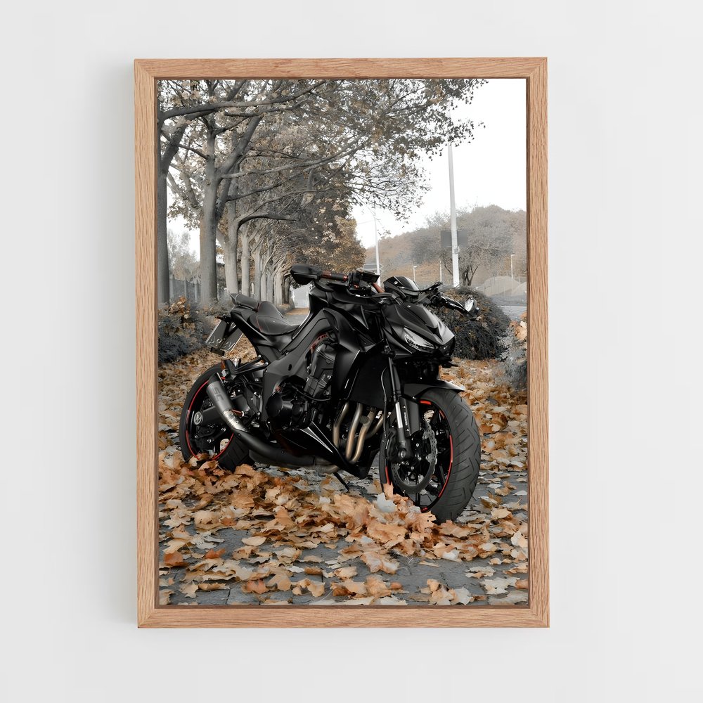 Poster Z1000 Éclatant (vue 4)