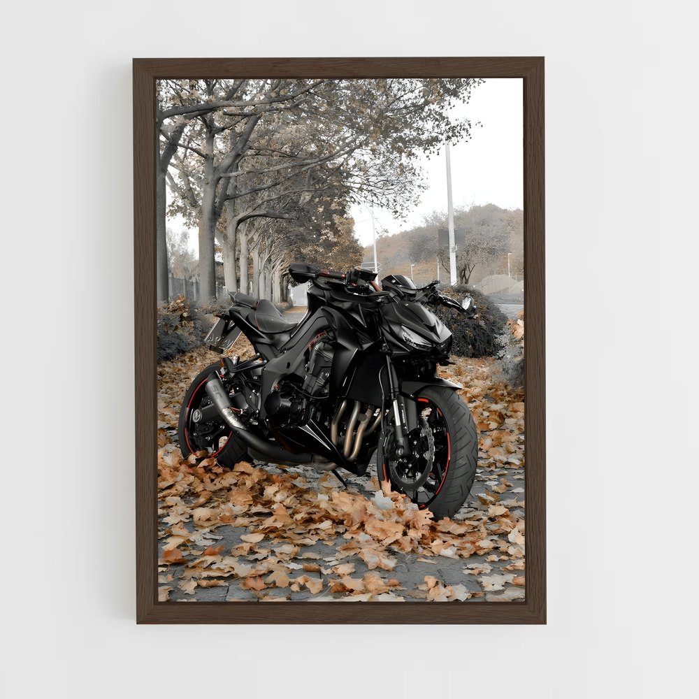 Poster Z1000 Éclatant (vue 5)