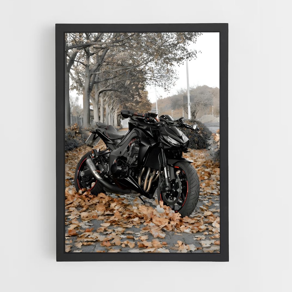 Poster Z1000 Éclatant (vue 2)