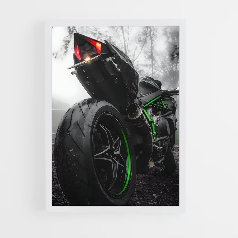 Poster Éblouissant Z1000. (vue 3)