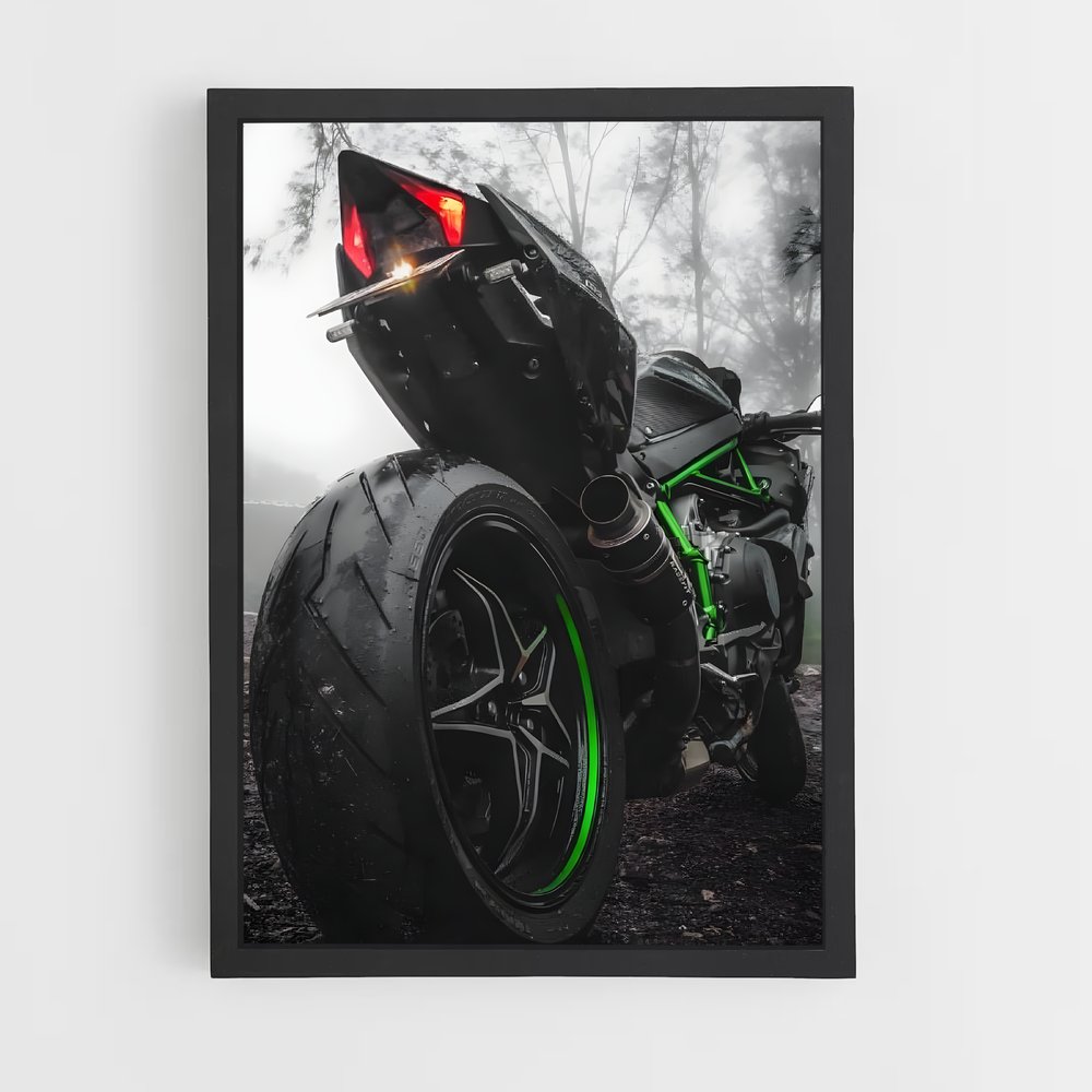 Poster Éblouissant Z1000. (vue 2)