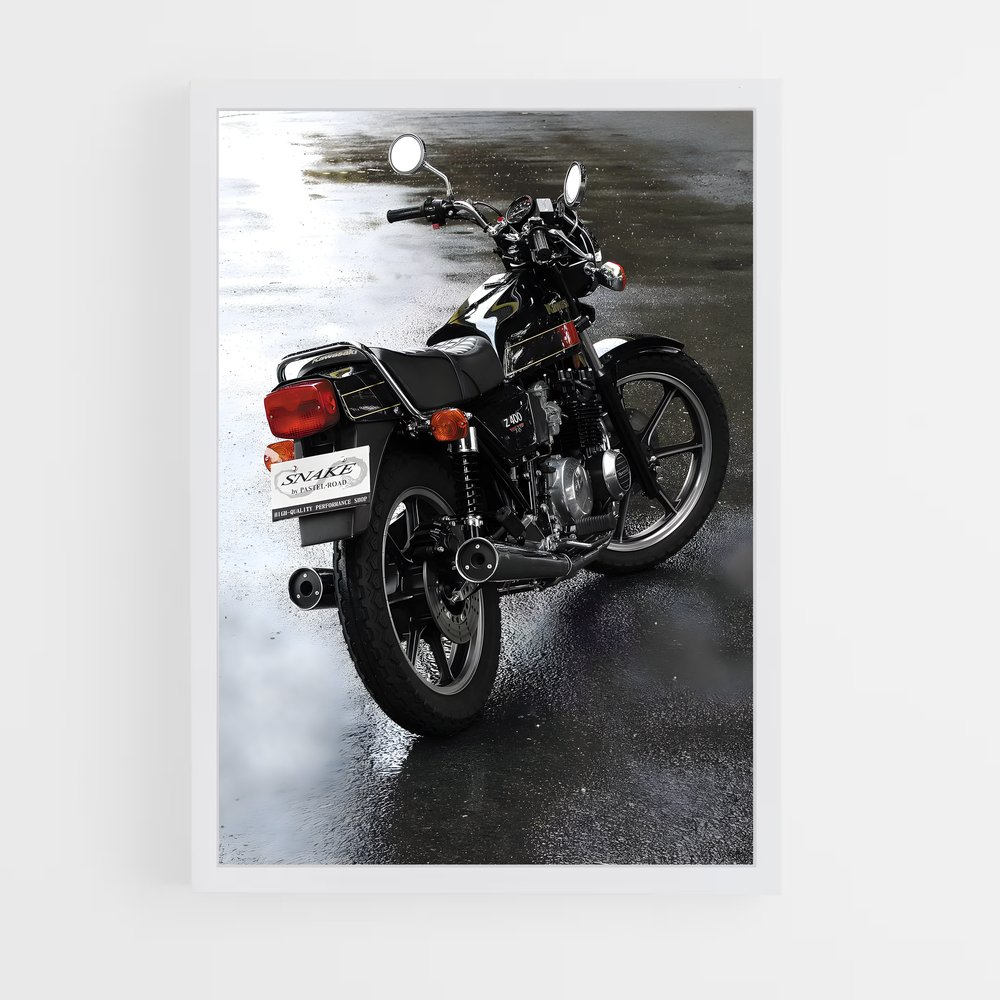 Poster Z captivant (vue 3)