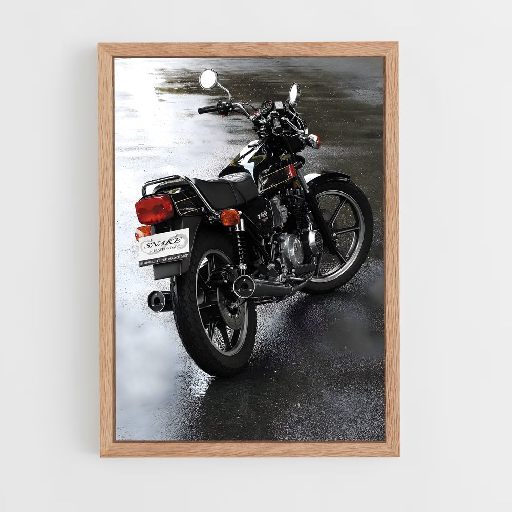 Poster Z captivant (vue 4)