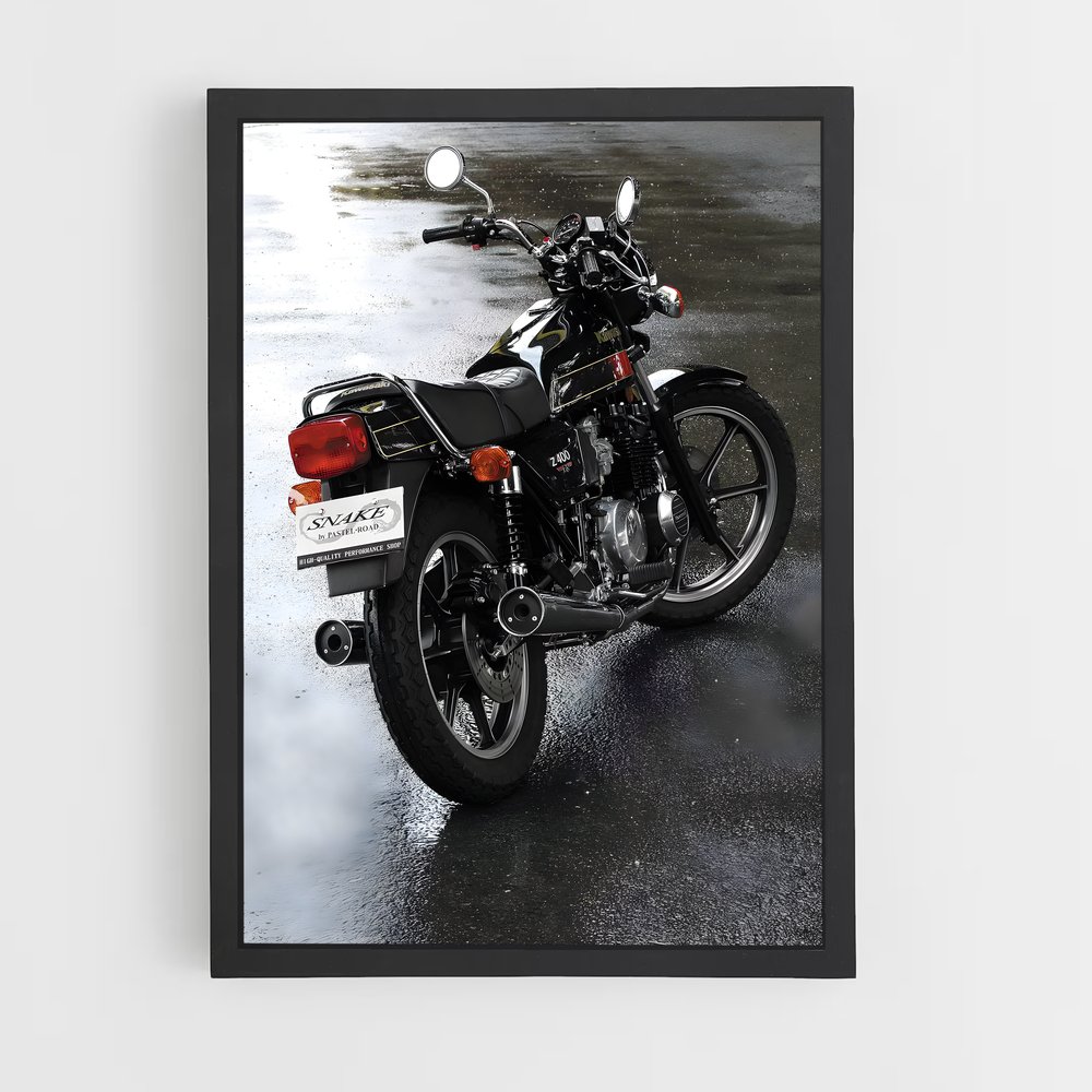 Poster Z captivant (vue 2)