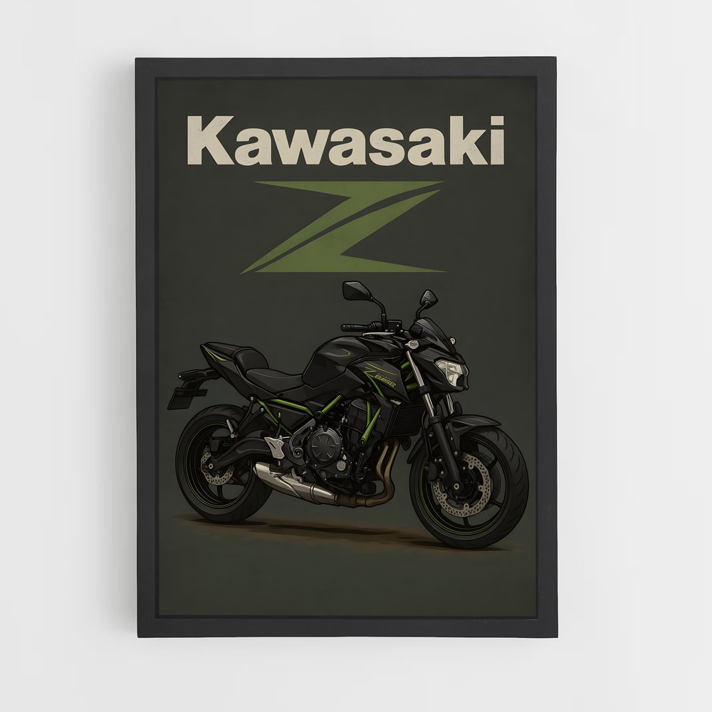 Poster Black Shadow (vue 2)