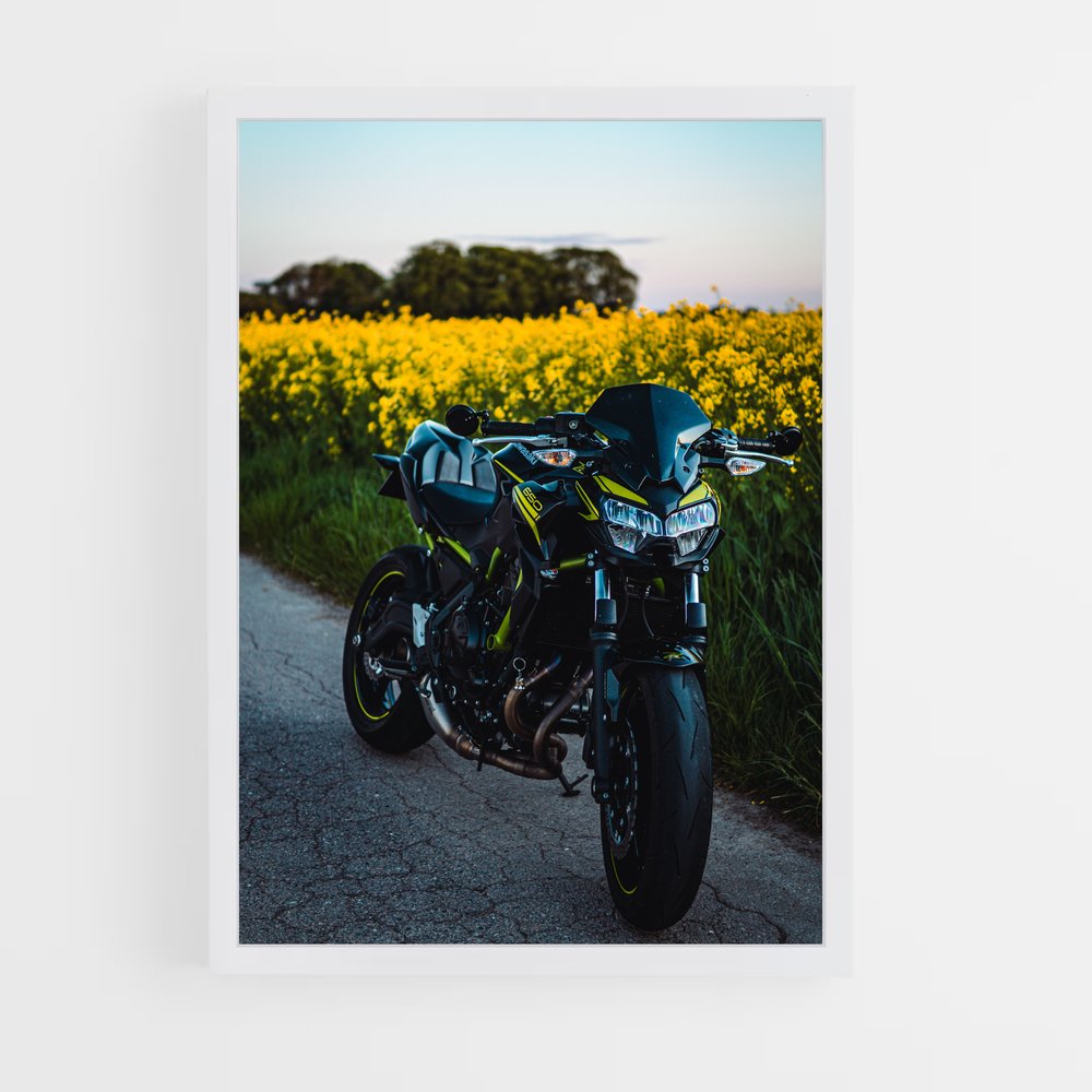 Poster Route Fleurie (vue 3)