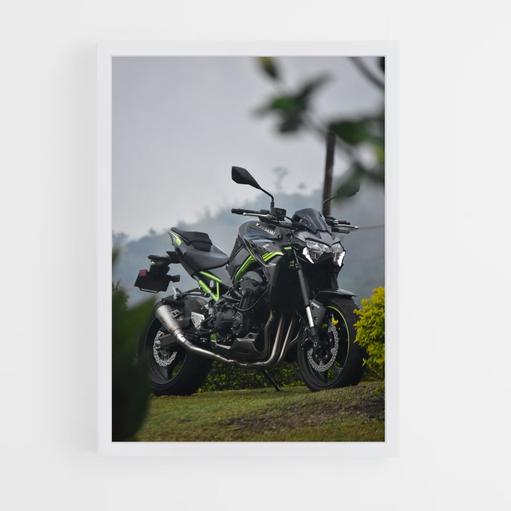 Poster Riding the Horizon (vue 3)