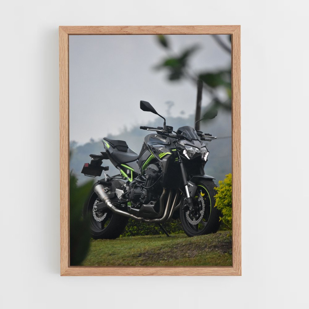 Poster Riding the Horizon (vue 4)