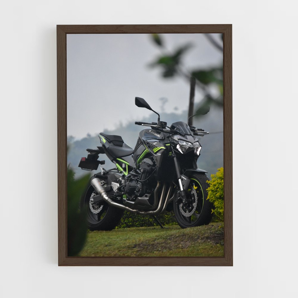 Poster Riding the Horizon (vue 5)