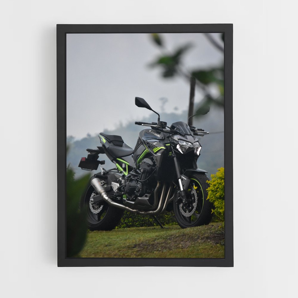 Poster Riding the Horizon (vue 2)