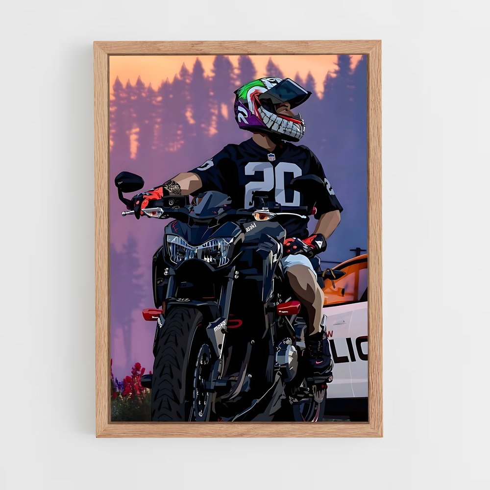 Poster Z900 Éclatant Mystique (vue 4)