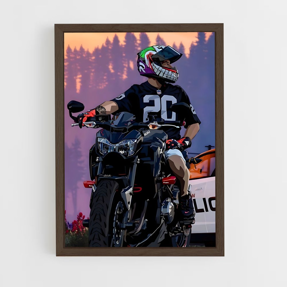 Poster Z900 Éclatant Mystique (vue 5)