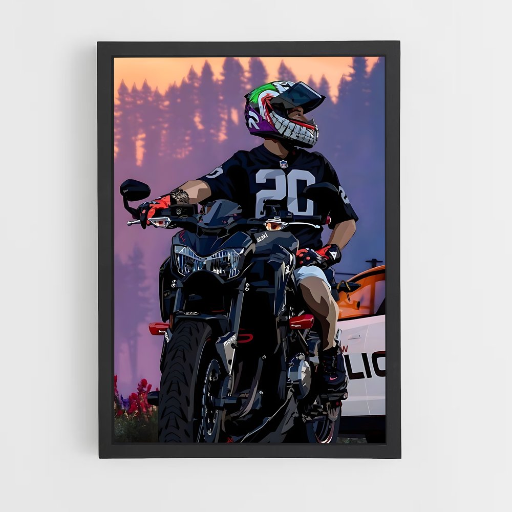 Poster Z900 Éclatant Mystique (vue 2)