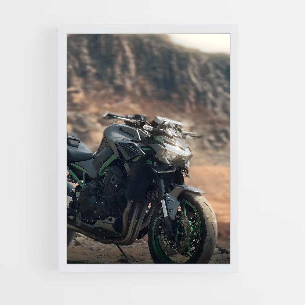 Poster Road Trip Z900 (vue 3)