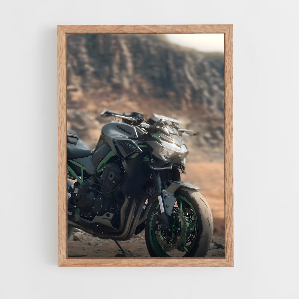 Poster Road Trip Z900 (vue 4)