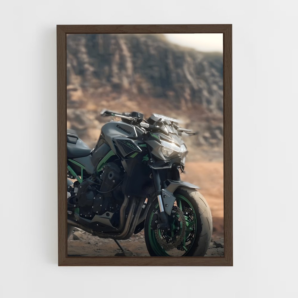 Poster Road Trip Z900 (vue 5)
