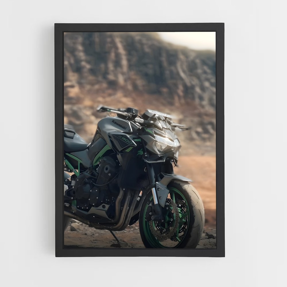 Poster Road Trip Z900 (vue 2)