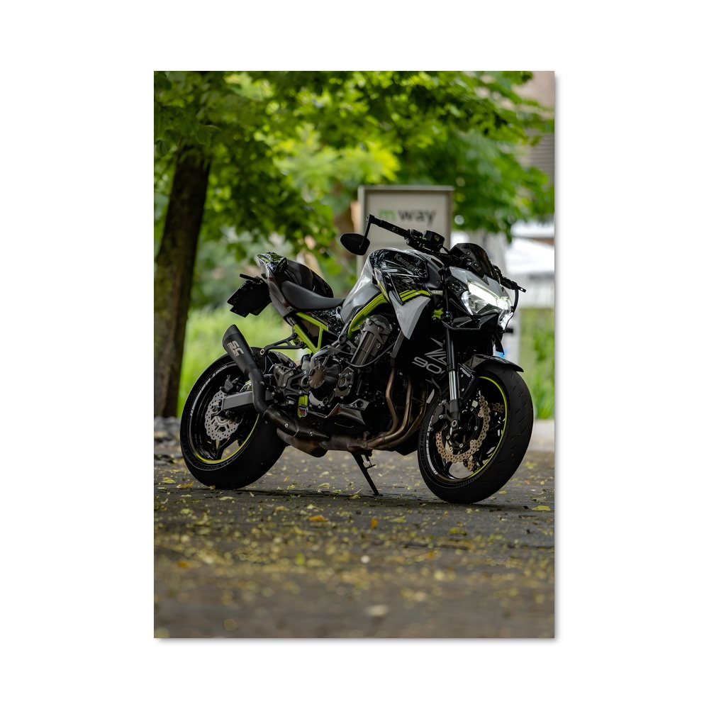 Poster Roadster Dreams