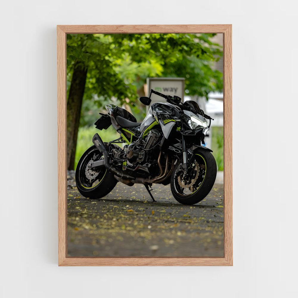 Poster Roadster Dreams (vue 4)