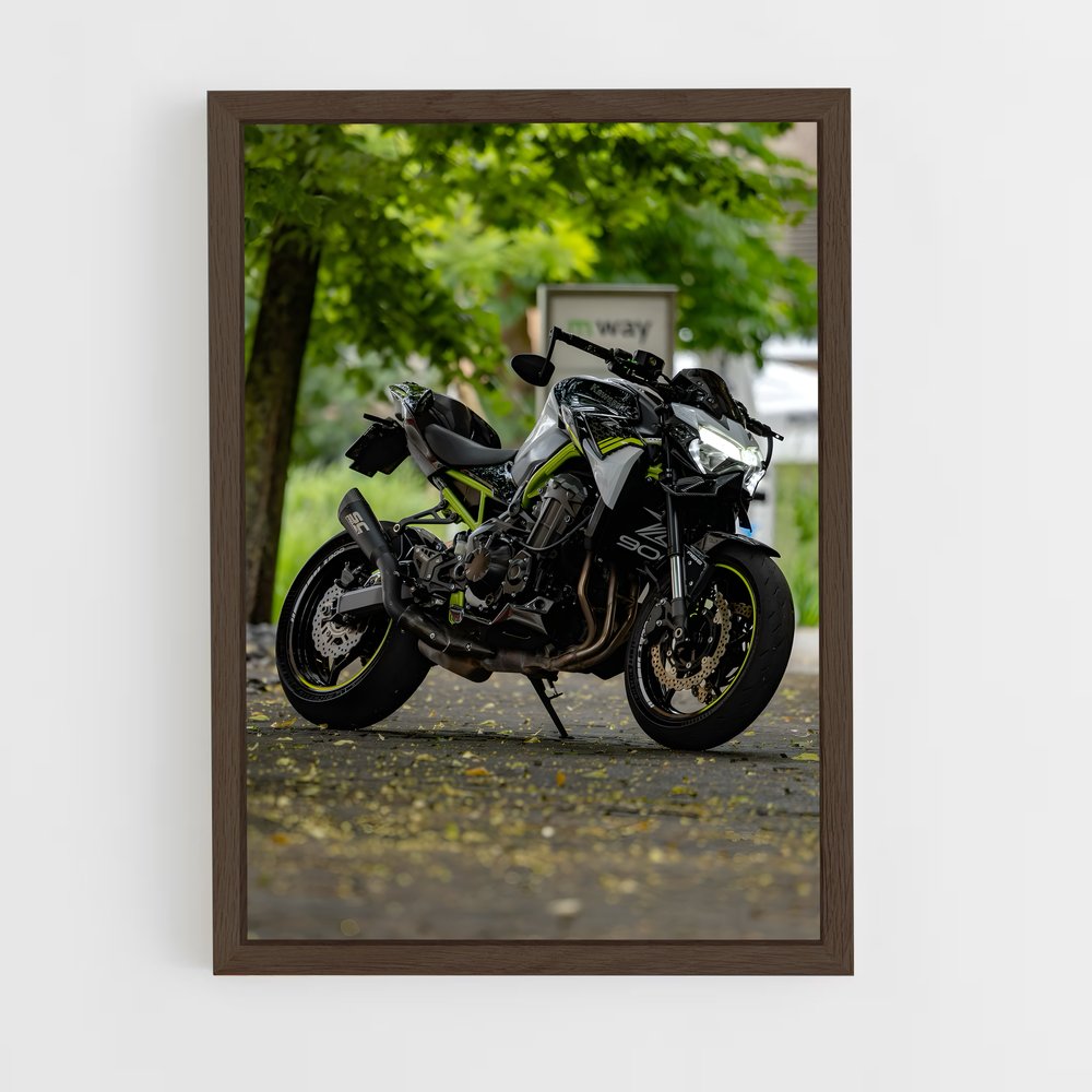 Poster Roadster Dreams (vue 5)