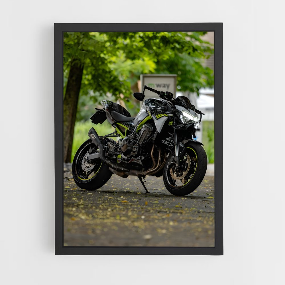 Poster Roadster Dreams (vue 2)