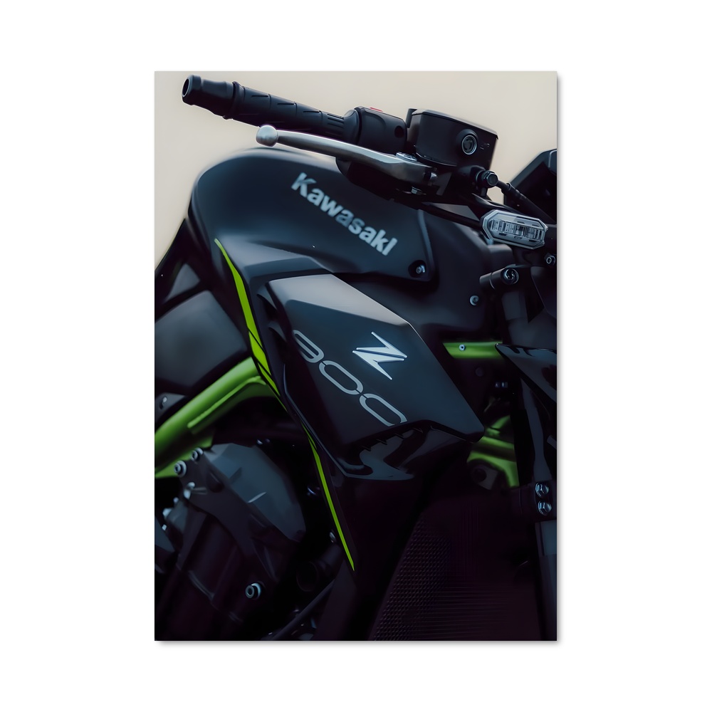 Poster Éclat Z900