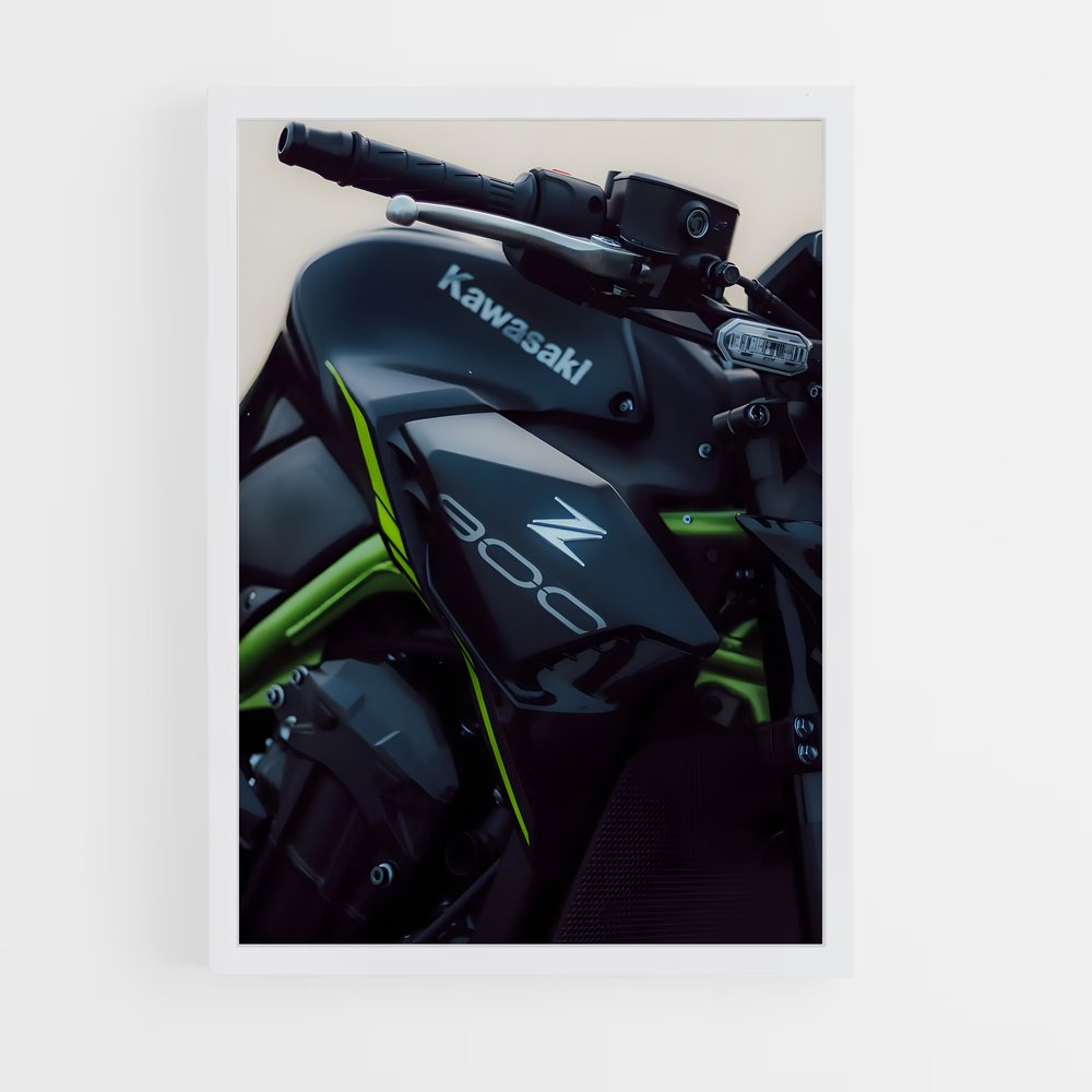 Poster Éclat Z900 (vue 3)