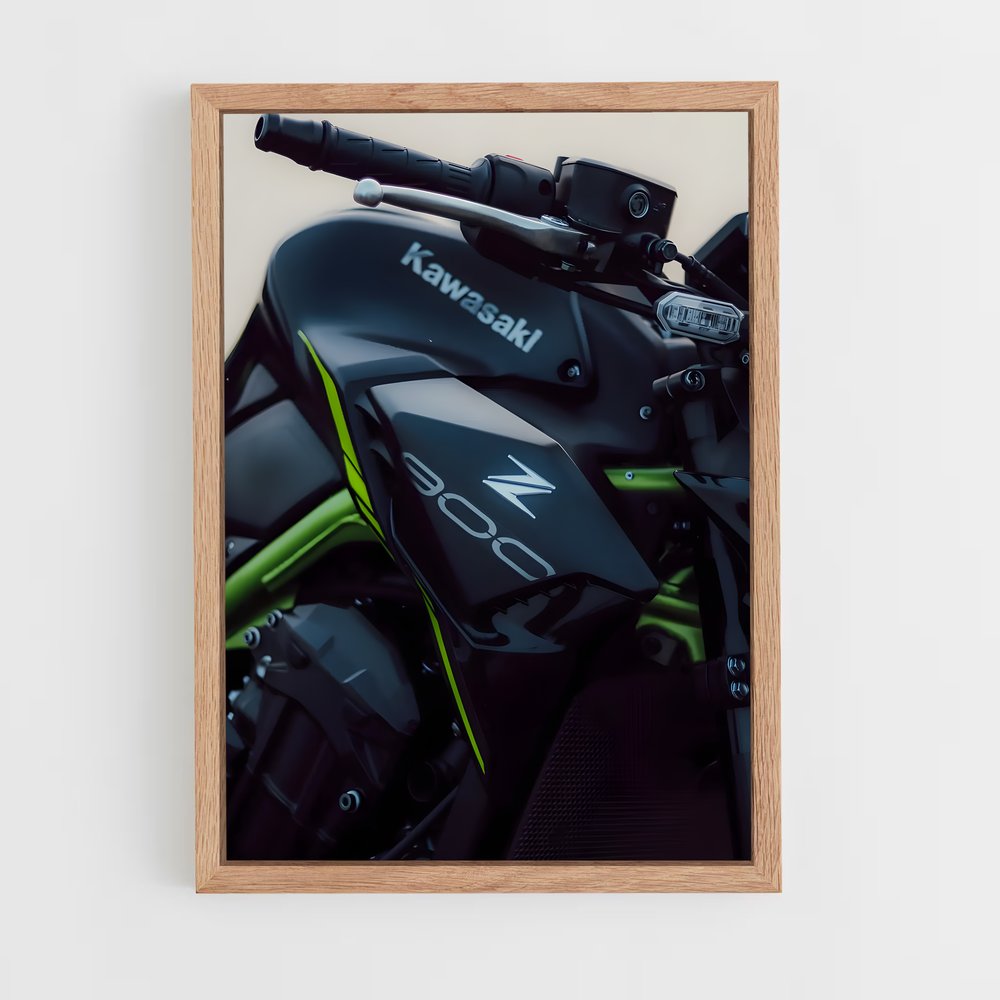 Poster Éclat Z900 (vue 4)