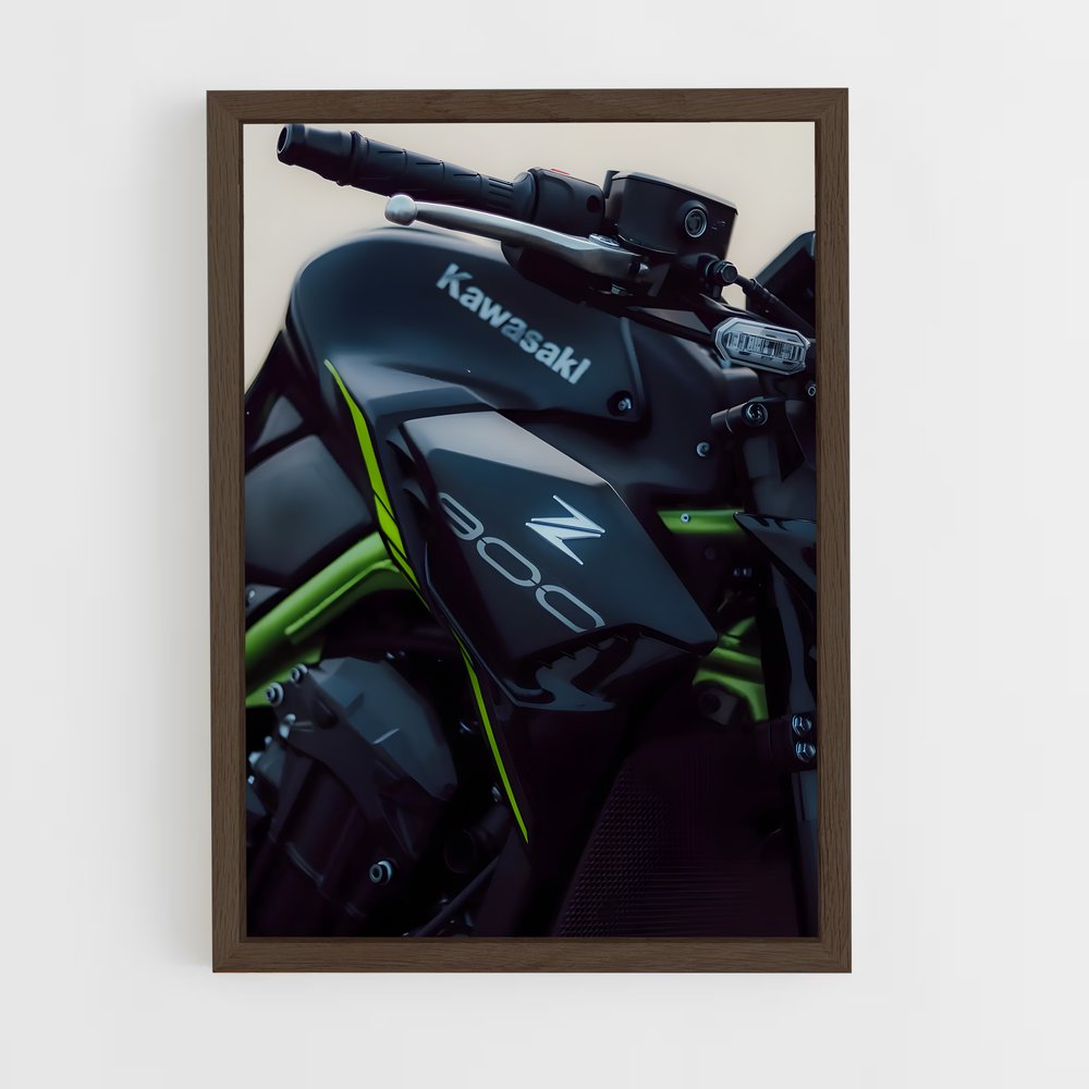 Poster Éclat Z900 (vue 5)