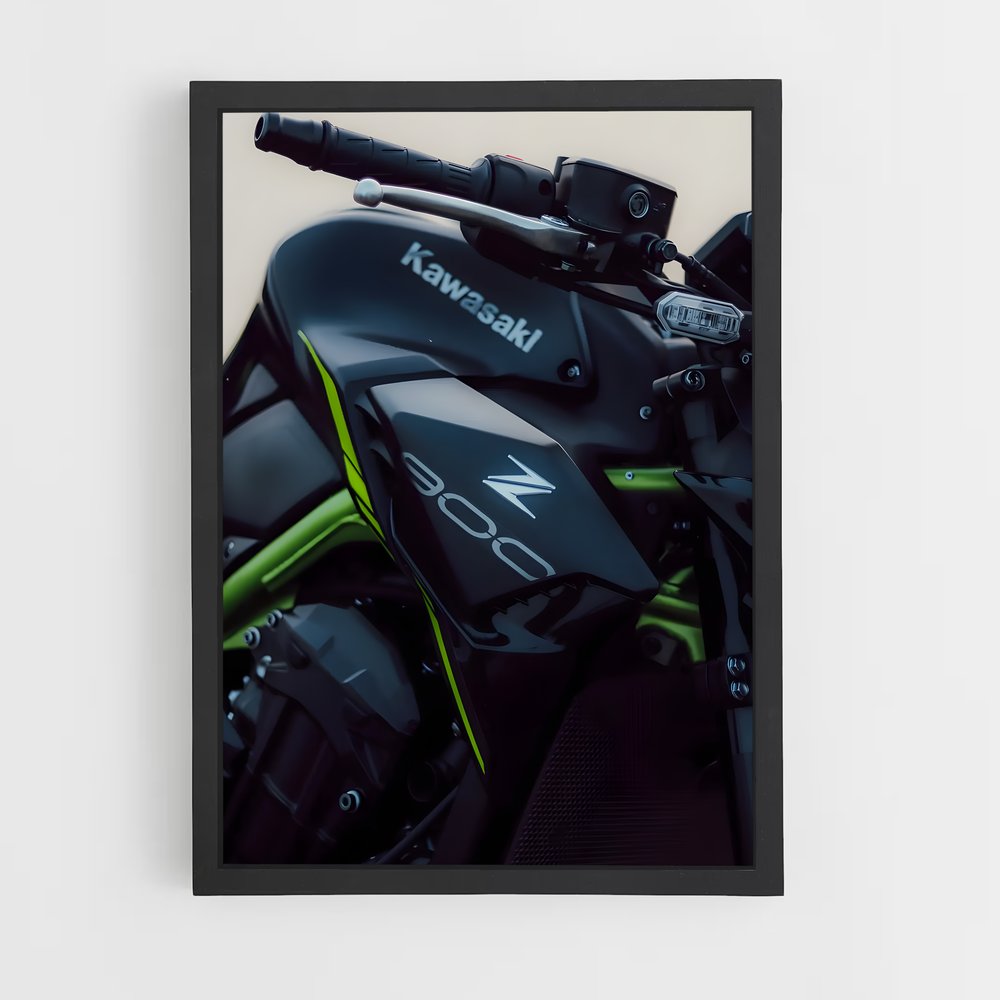 Poster Éclat Z900 (vue 2)