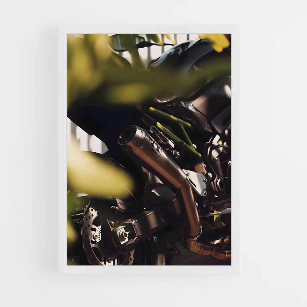 Poster Ride & Bloom (vue 3)