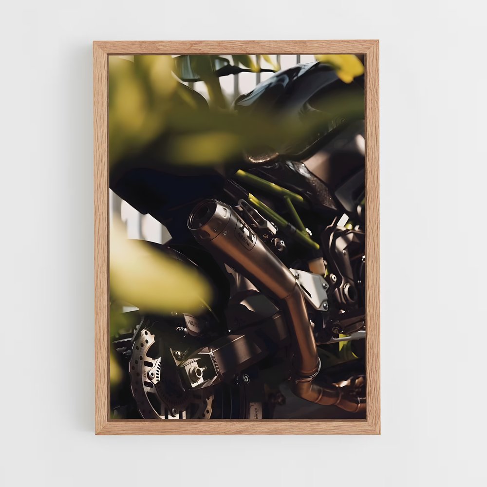 Poster Ride & Bloom (vue 4)