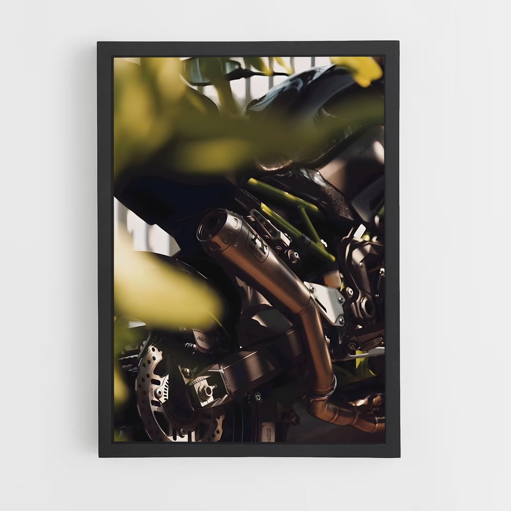 Poster Ride & Bloom (vue 2)