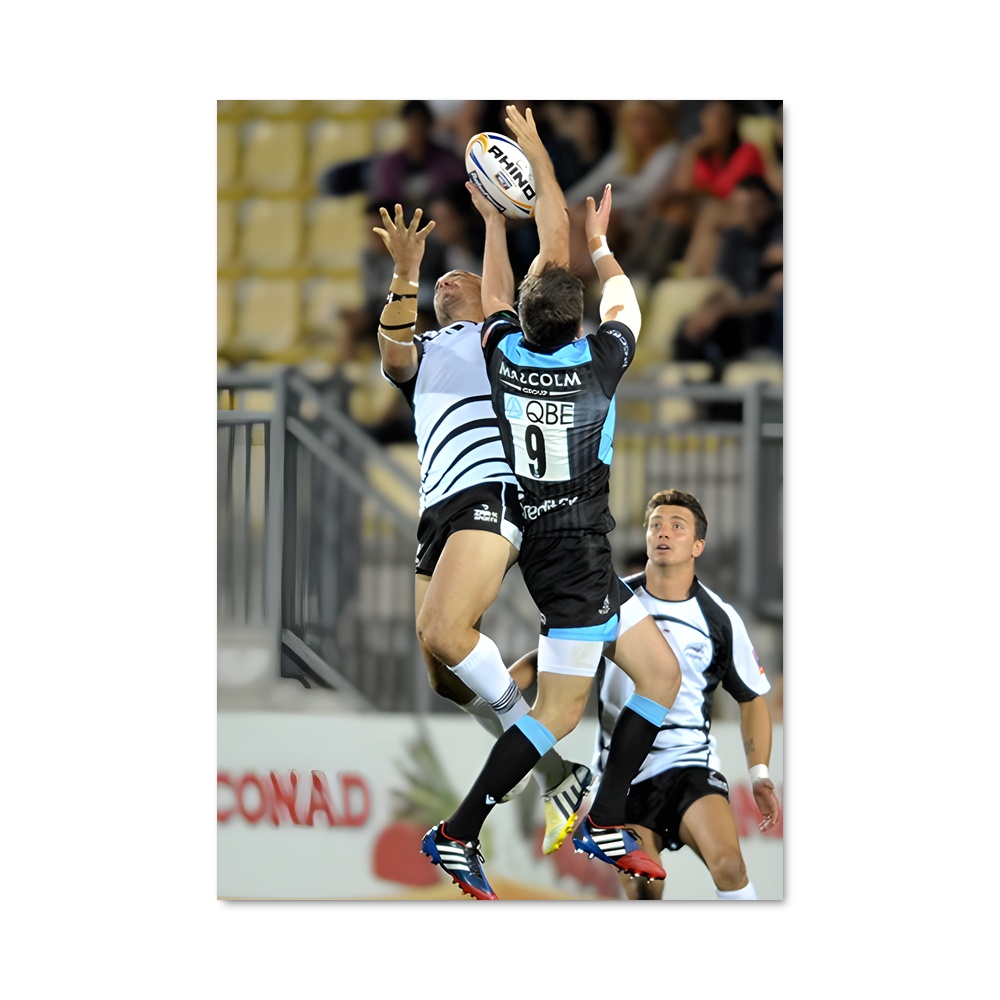 Poster Zebre Rugby