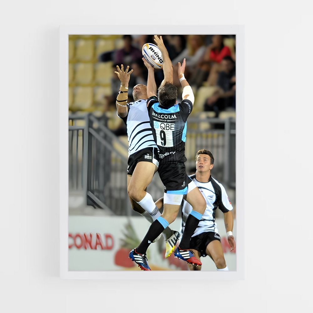 Poster Zebre Rugby (vue 3)