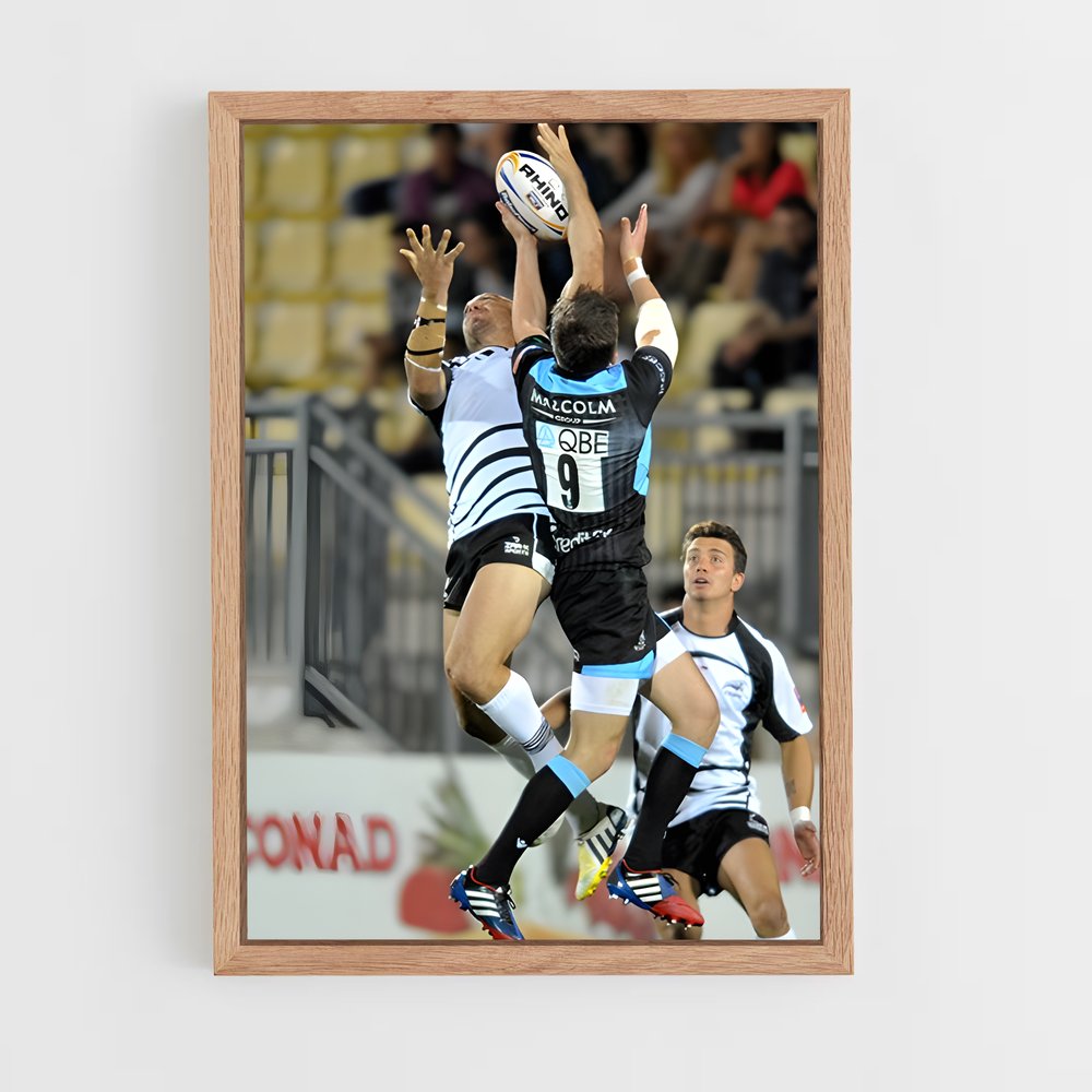 Poster Zebre Rugby (vue 4)