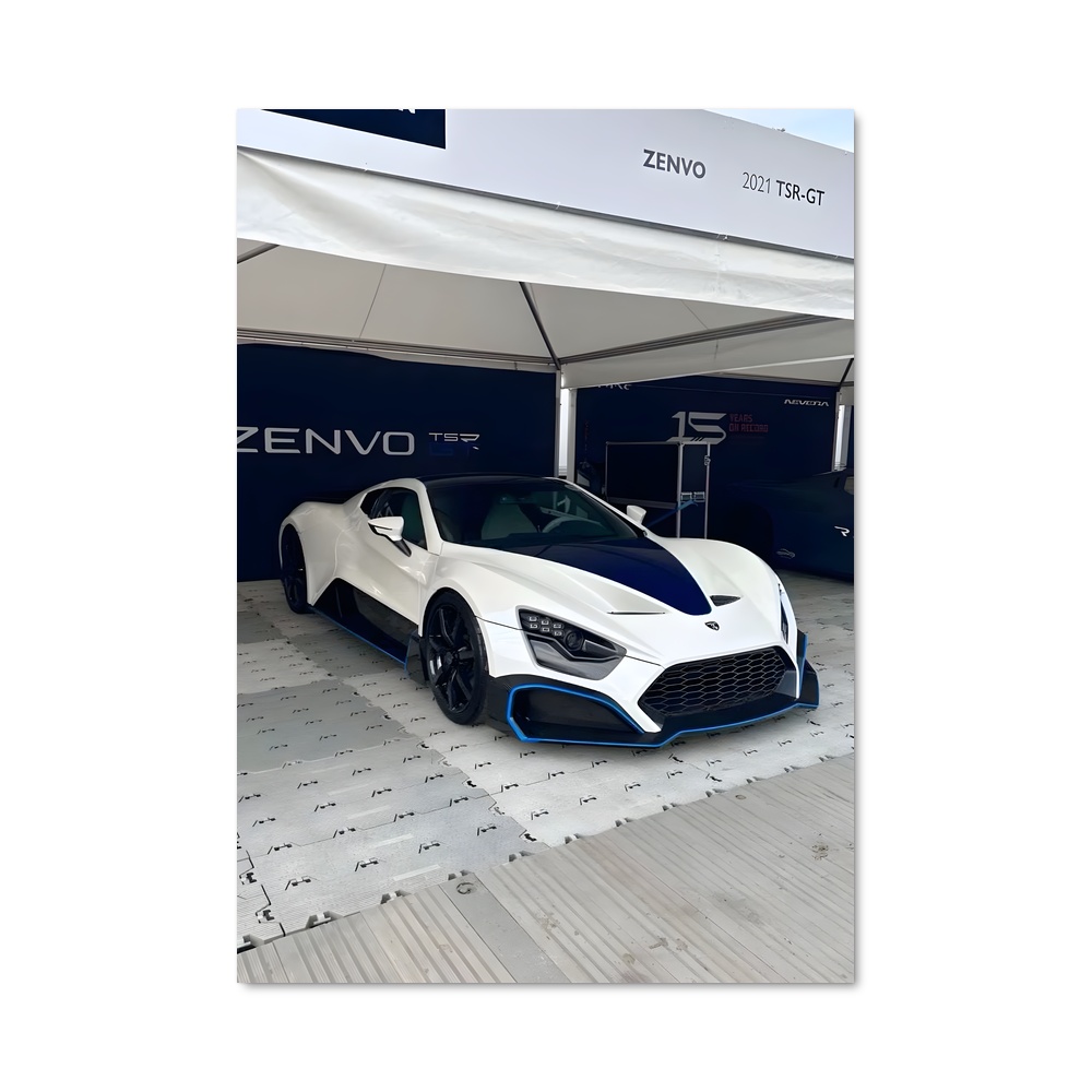 Poster raffiné Zenvo