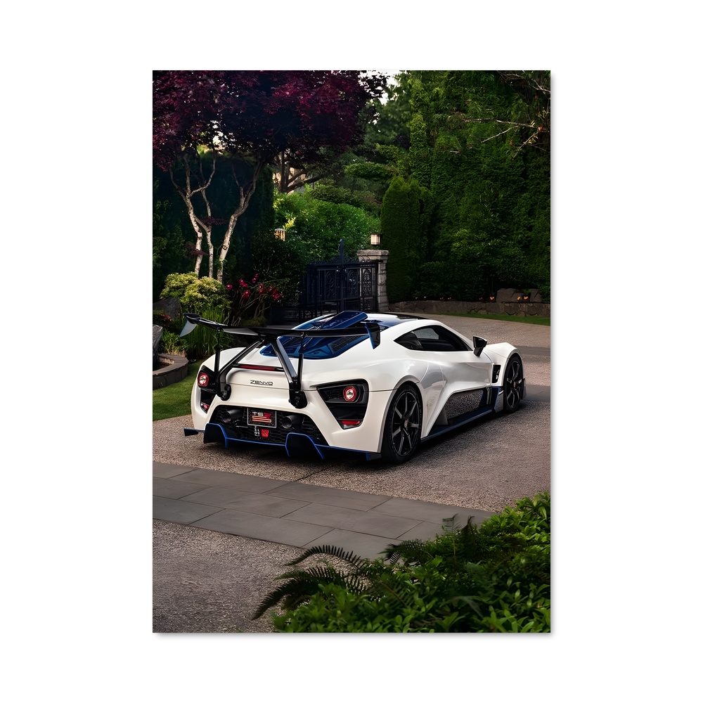 Poster Zenvo Éclatant