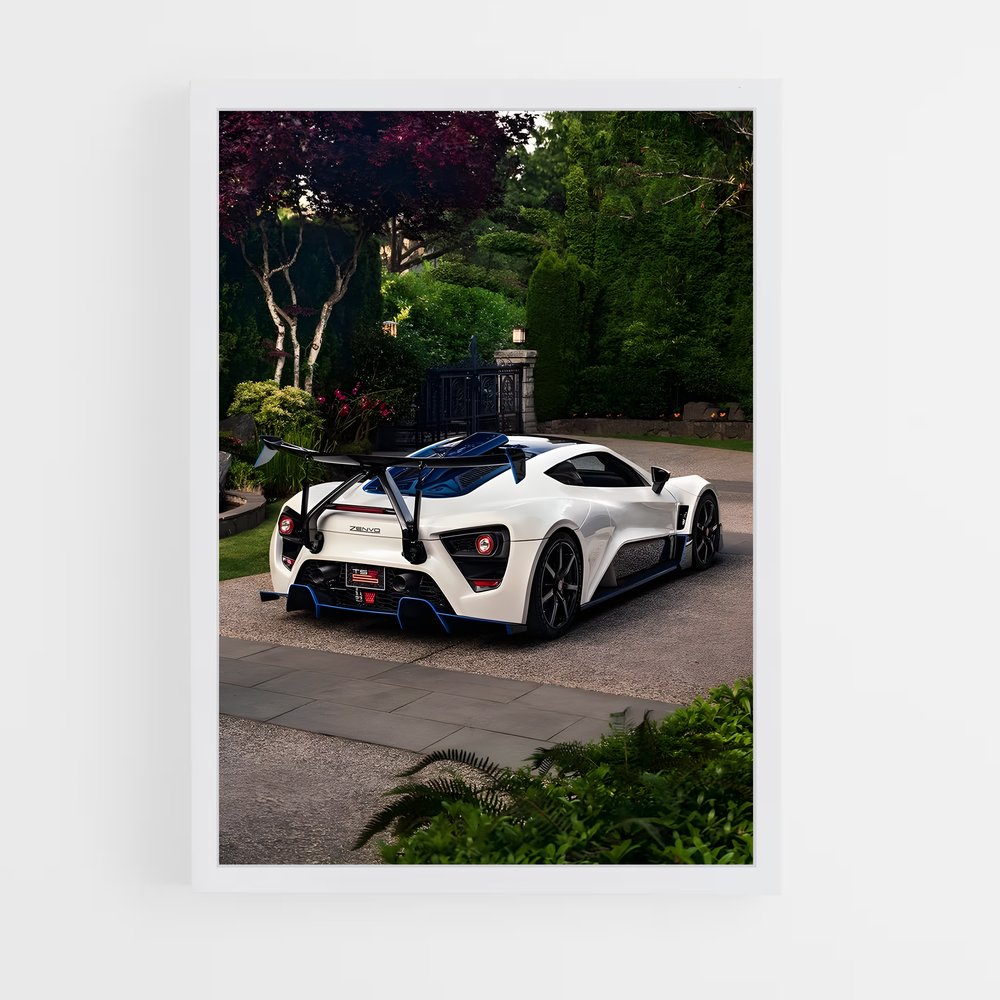 Poster Zenvo Éclatant (vue 3)