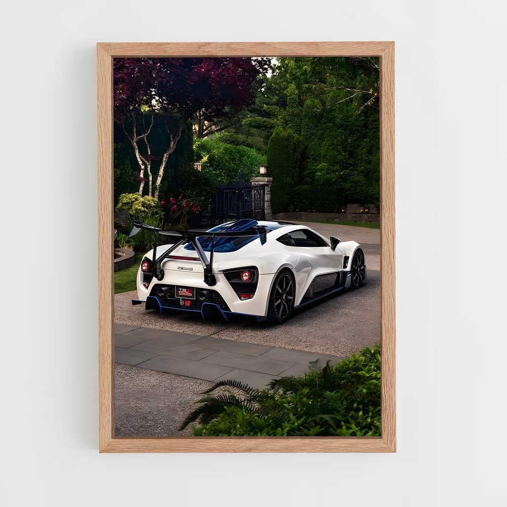Poster Zenvo Éclatant (vue 4)