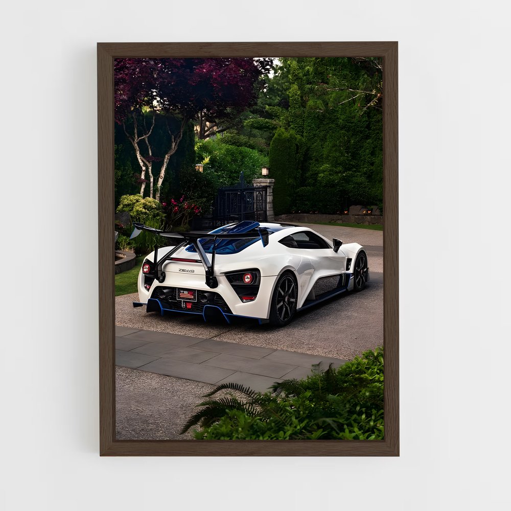 Poster Zenvo Éclatant (vue 5)