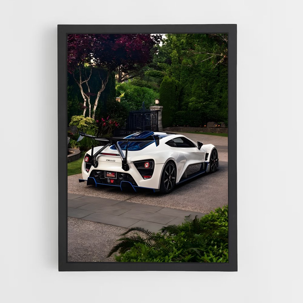 Poster Zenvo Éclatant (vue 2)