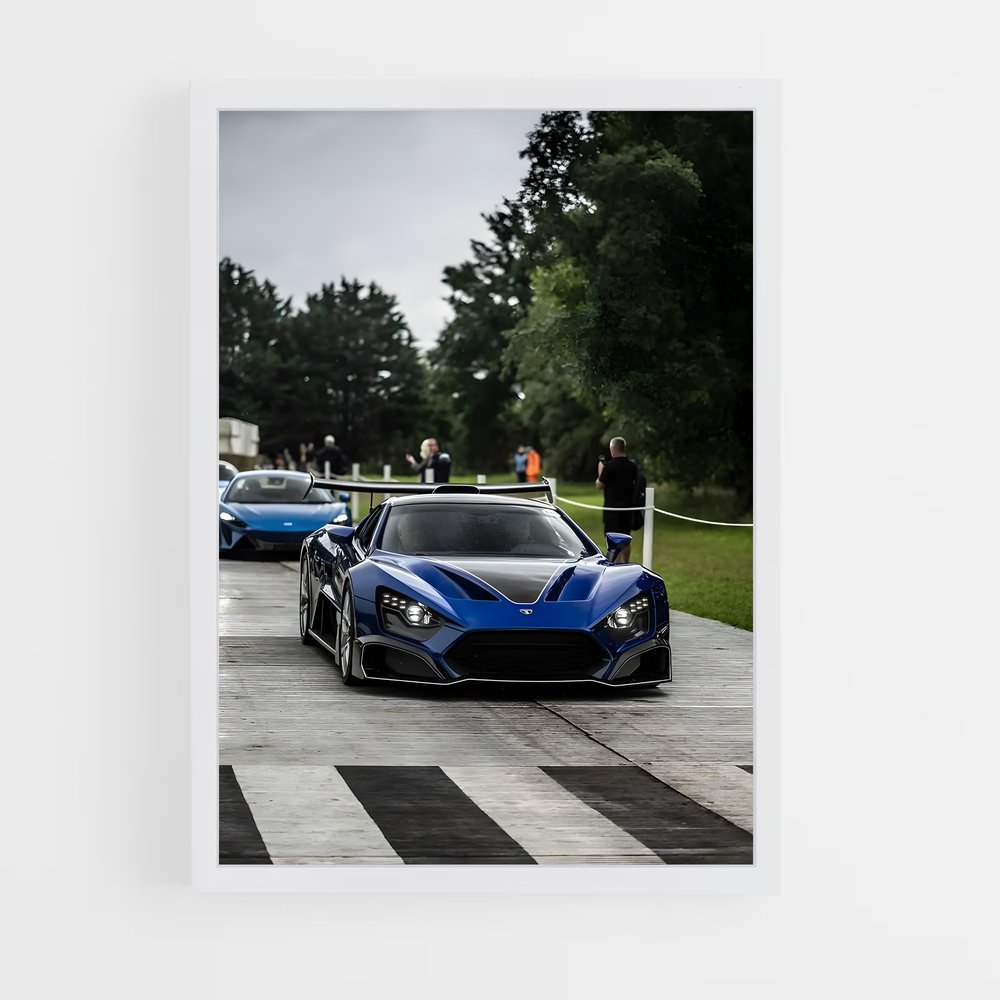 Poster Zenvo élégant (vue 3)